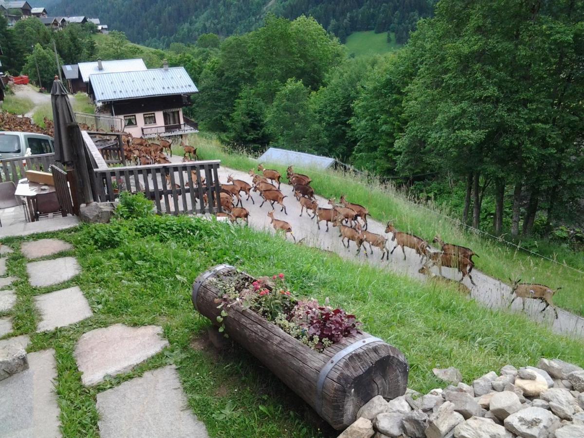 Le Refuge Des Marmottes Chalet Arêches