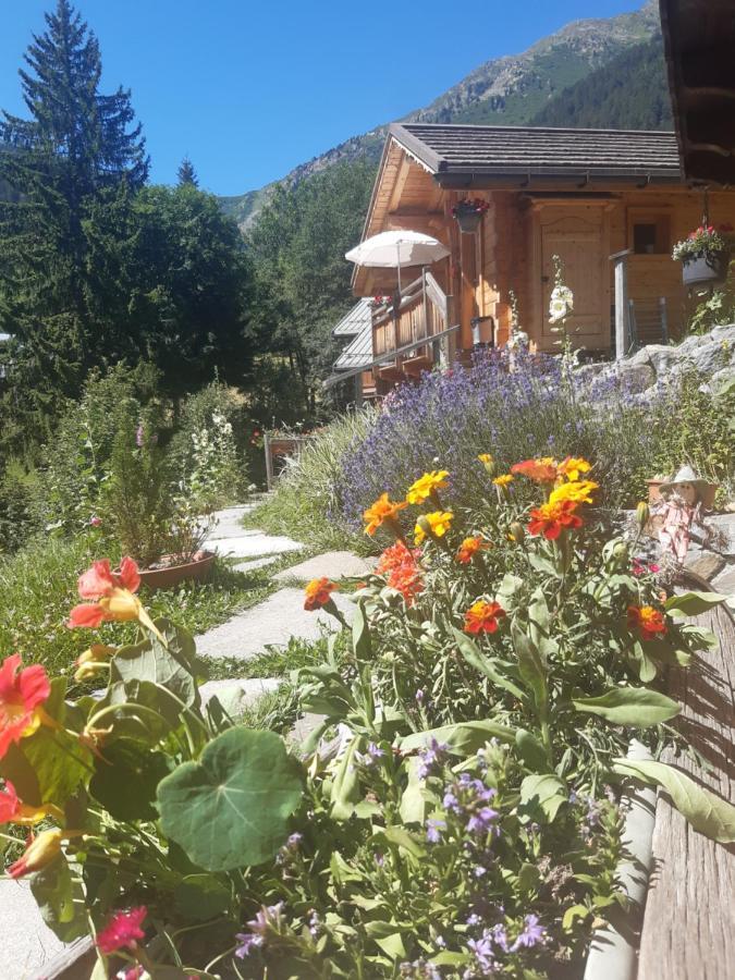 Le Refuge Des Marmottes Chalet
